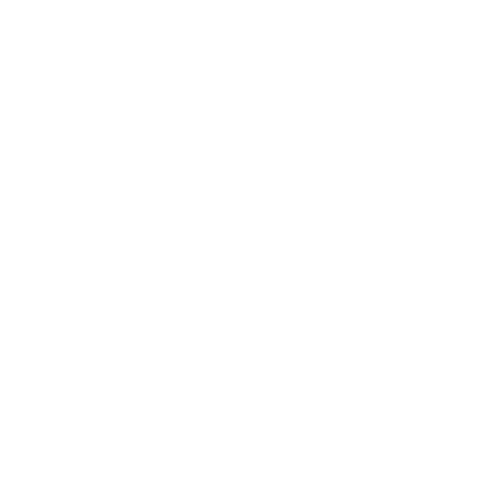 Brave categories